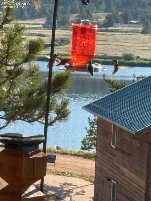 Image 45 of 50: View