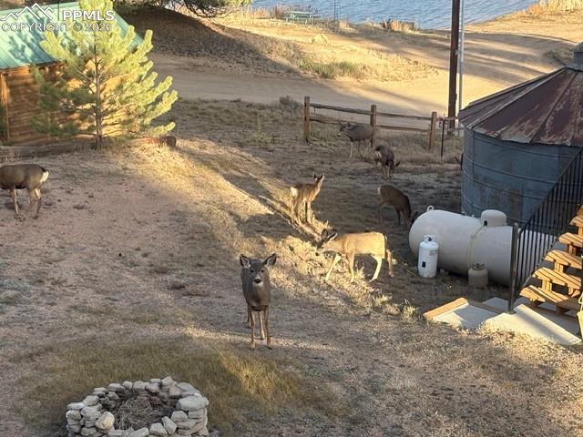 Image 46 of 50: Yard