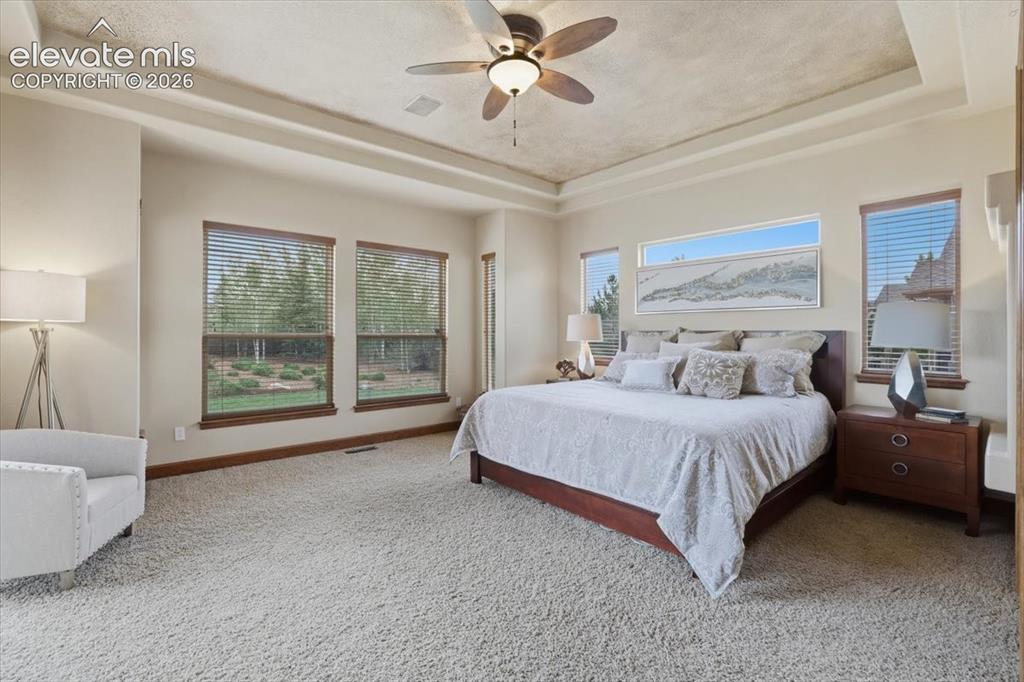 Image 13 of 32: Main Level Primary Suite with Patio Access, Double-sided Gas Fireplace, Tra