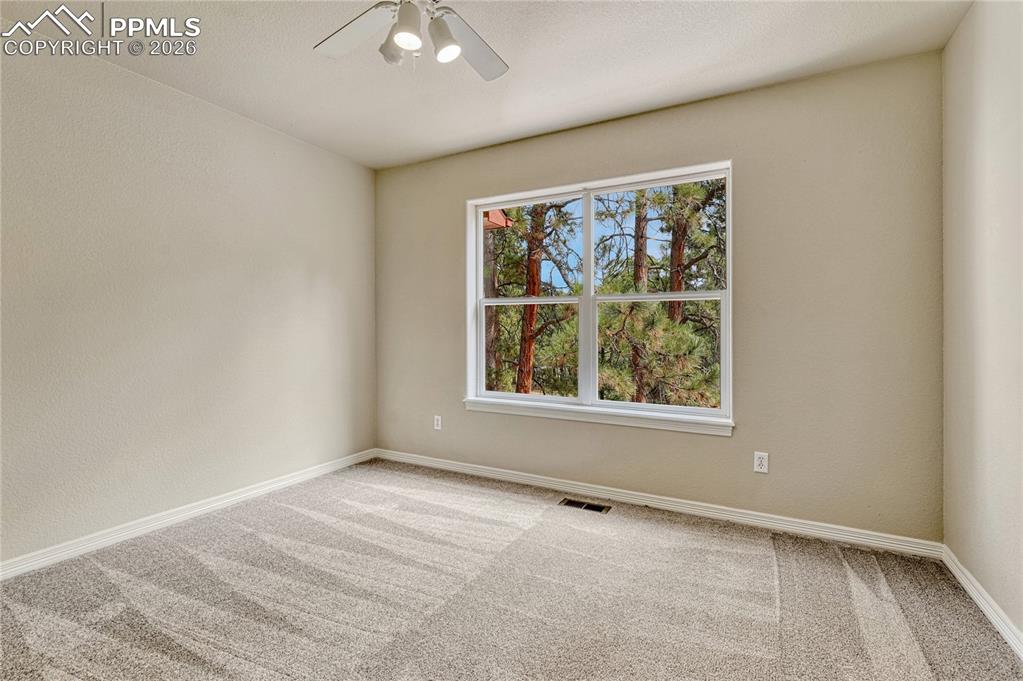 Image 29 of 46: Other