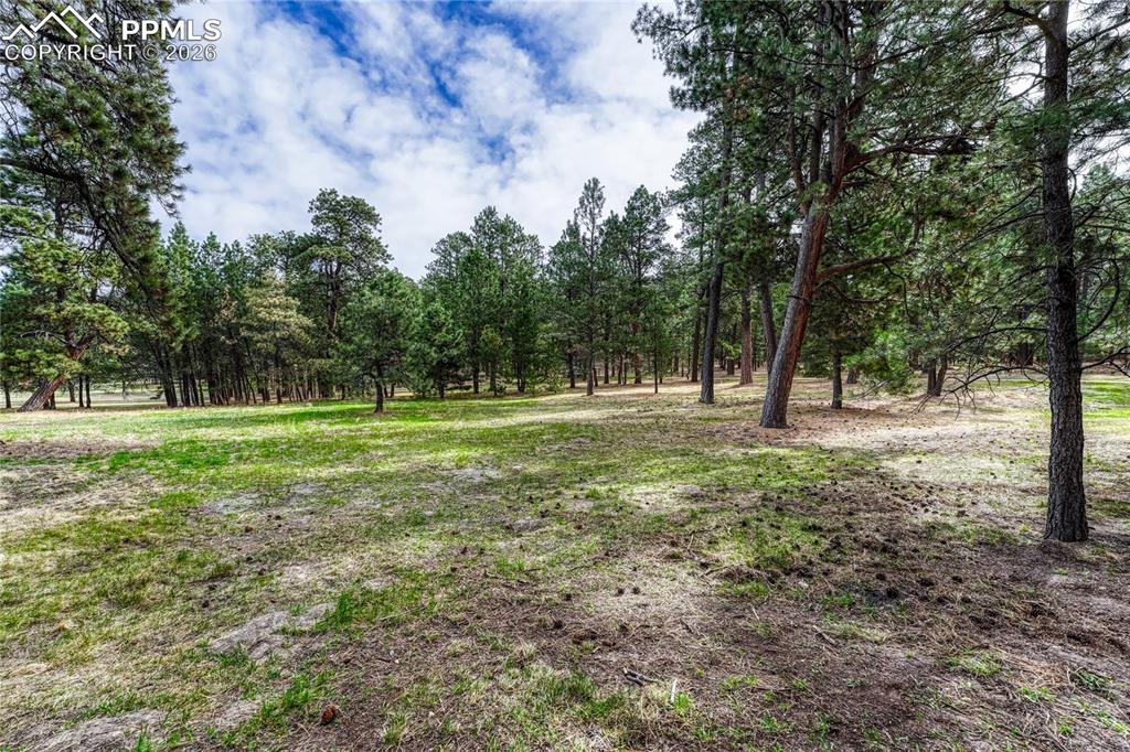 Image 41 of 46: Yard