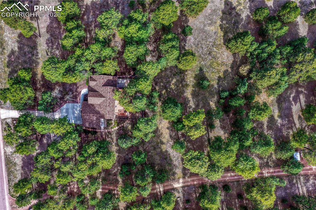 Image 42 of 46: Aerial View