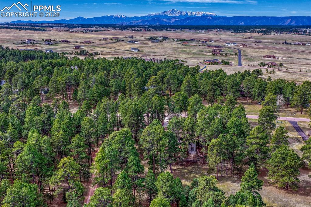 Image 43 of 46: Aerial View