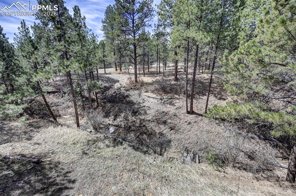 Image 38 of 43: Yard