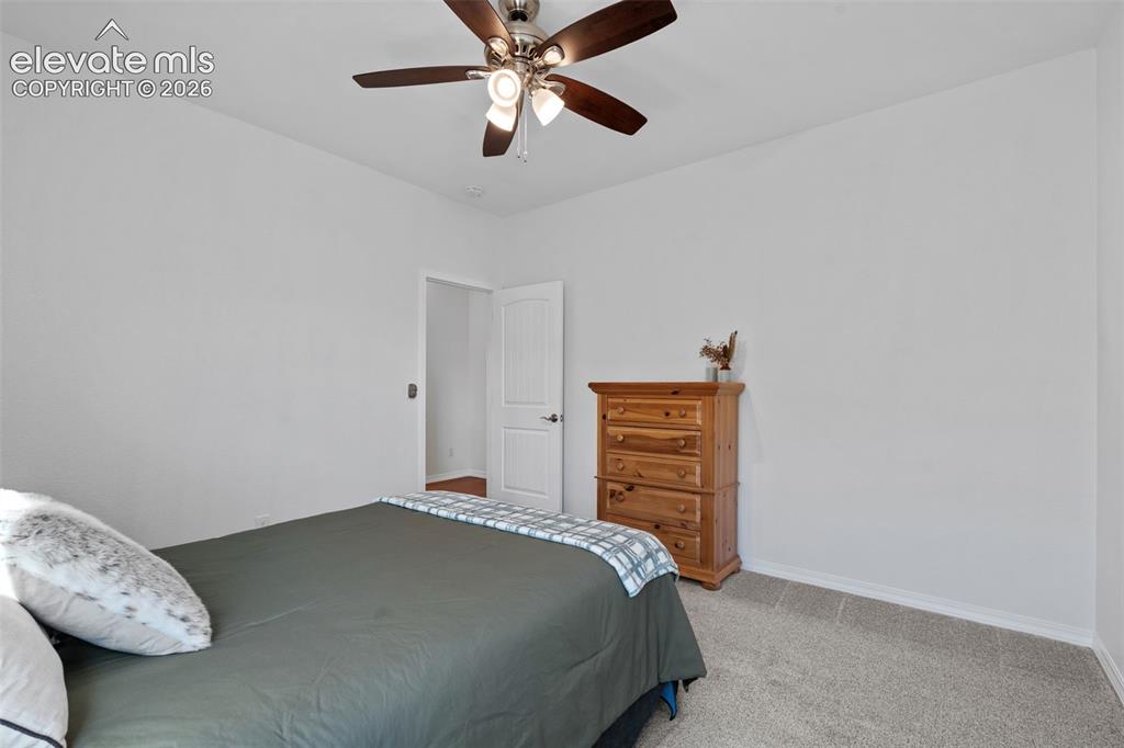Image 34 of 50: Carpeted room featuring a ceiling fan with light fixture, white walls, and 
