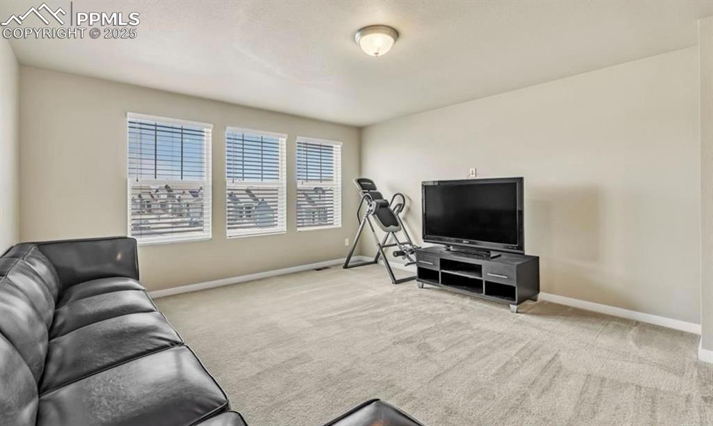 Image 18 of 38: Living Room