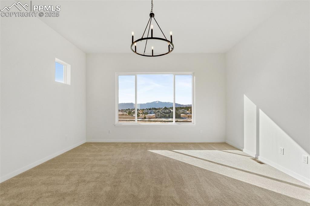 Image 32 of 50: Other