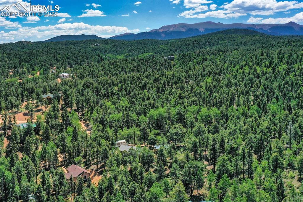 Image 11 of 46: Drone / aerial view of a heavily wooded area and mountains