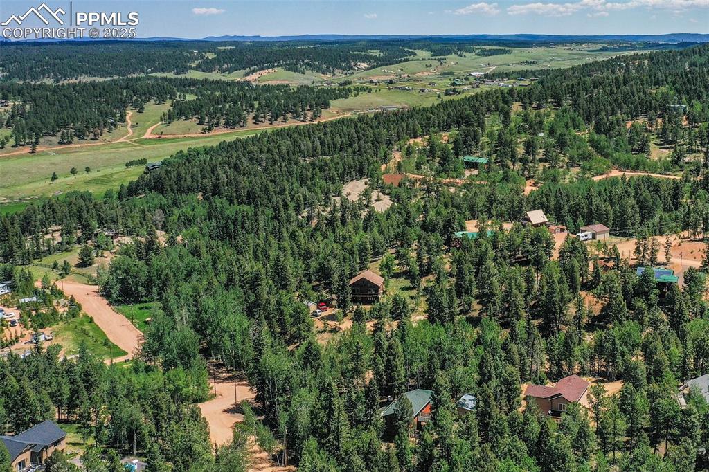 Image 12 of 46: View of property location with a heavily wooded area