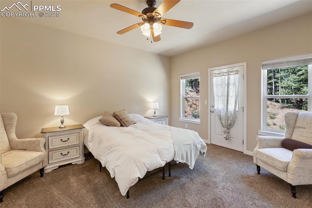 Image 30 of 46: Carpeted bedroom with a ceiling fan and access to outside