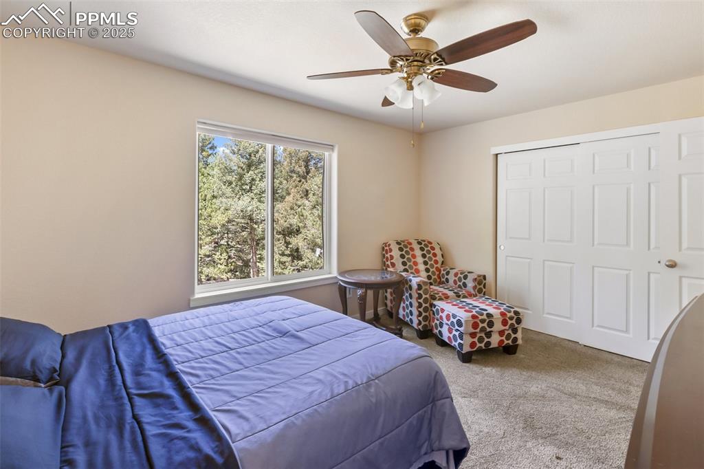 Image 45 of 46: Carpeted bedroom featuring ceiling fan and a closet