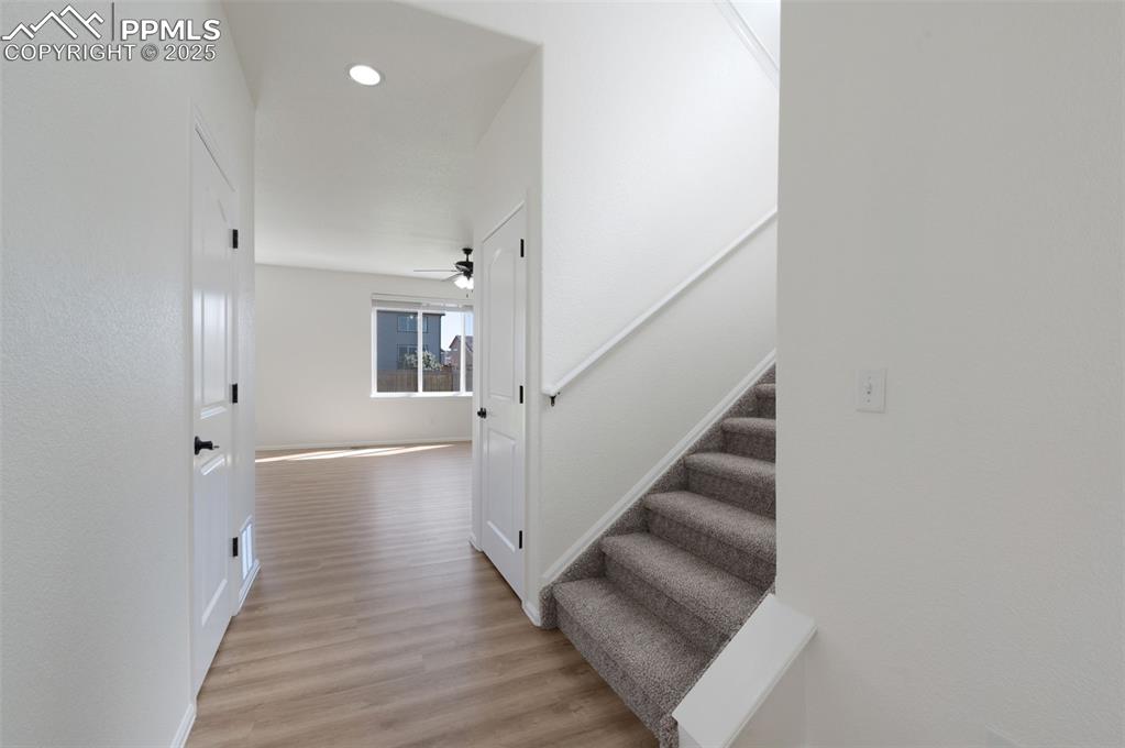 Image 4 of 49: Other