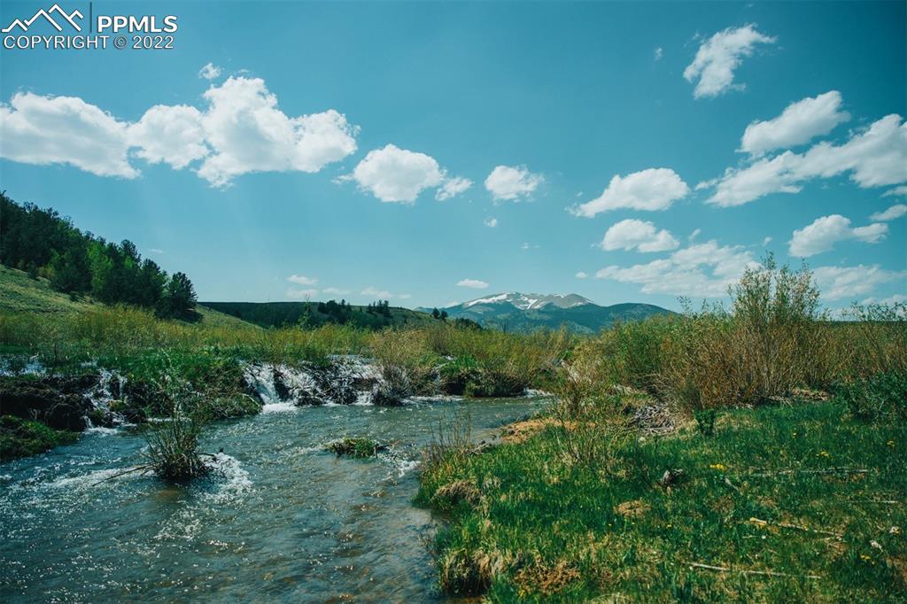 Listing 5979617, Image 15 of 42
