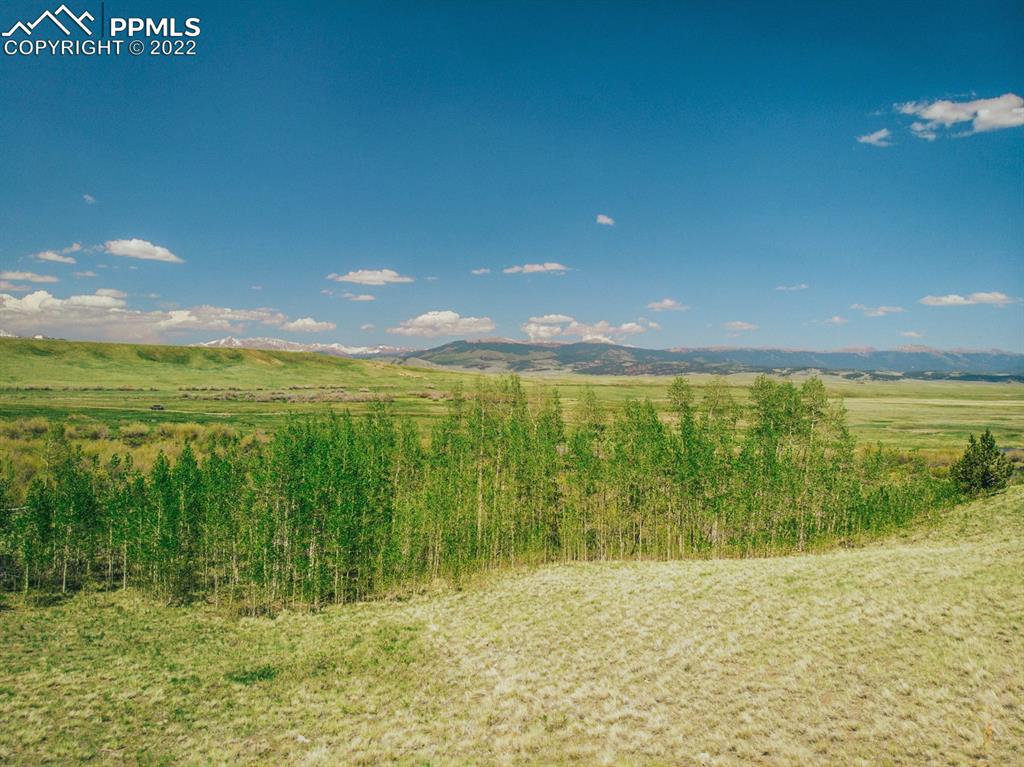 Listing 5979617, Image 28 of 42