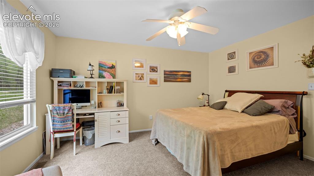 Image 14 of 28: Plush Carpet ~ Ceiling Fan ~ Views Out the Window
