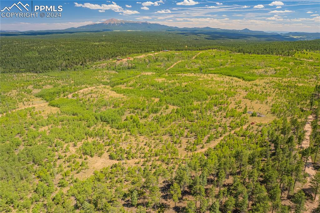 Image 17 of 36: Aerial View