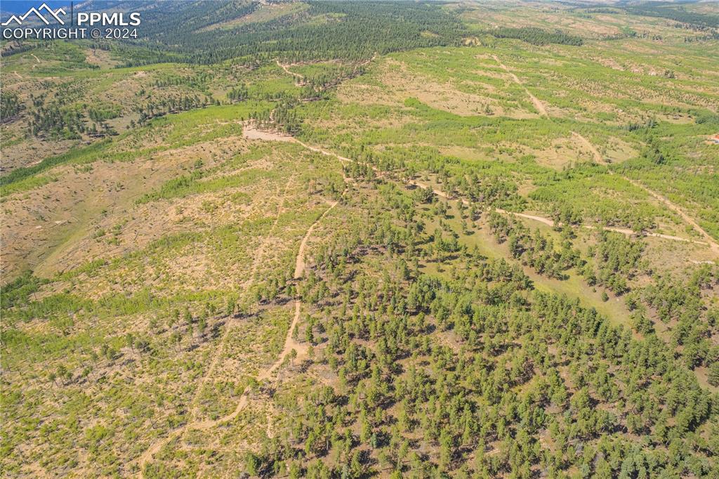 Image 20 of 36: Aerial View