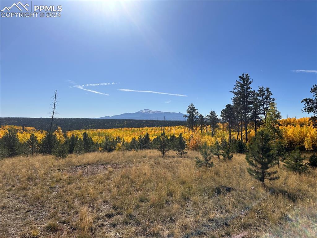 Image 4 of 36: View
