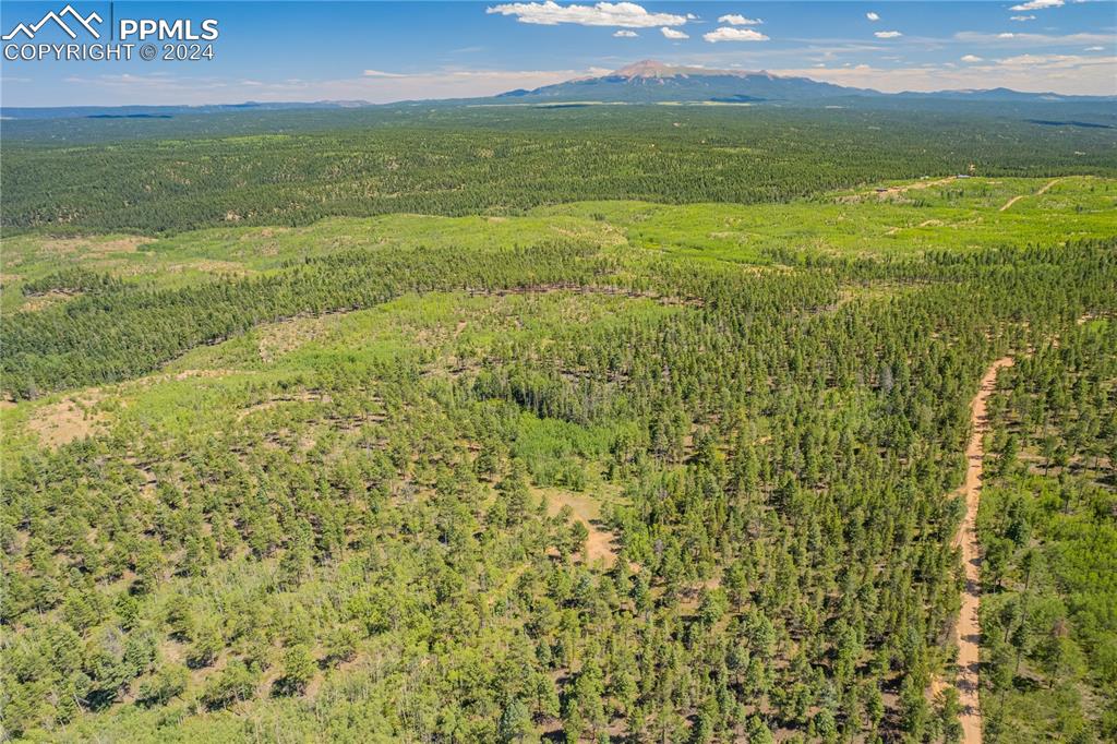 Image 6 of 36: Aerial View