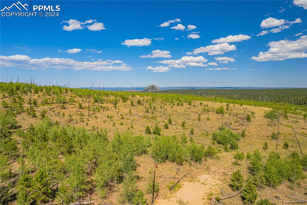 Image 9 of 36: Other