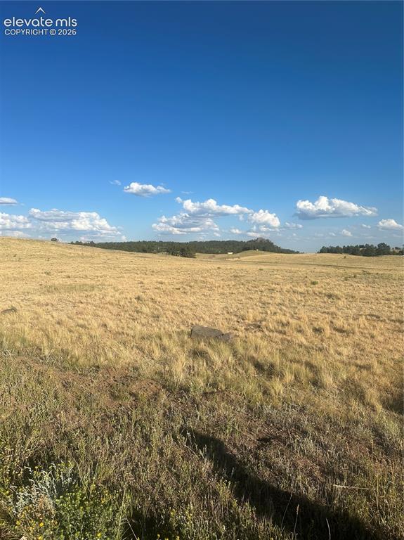 Image 10 of 22: Other