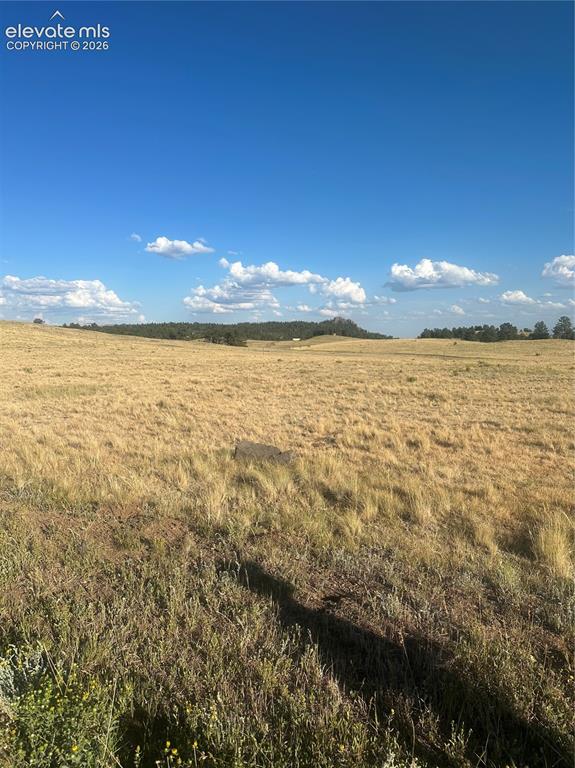 Image 12 of 22: Other