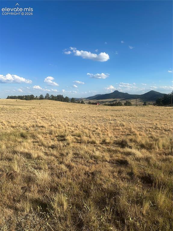 Image 15 of 22: View