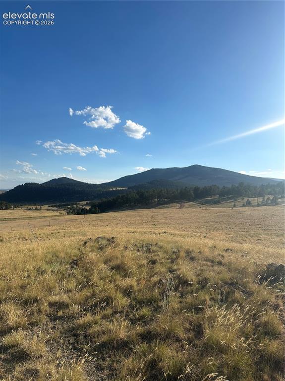 Image 2 of 22: View