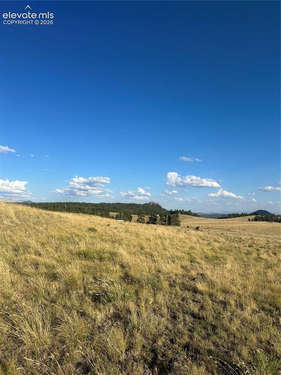 Image 4 of 22: View