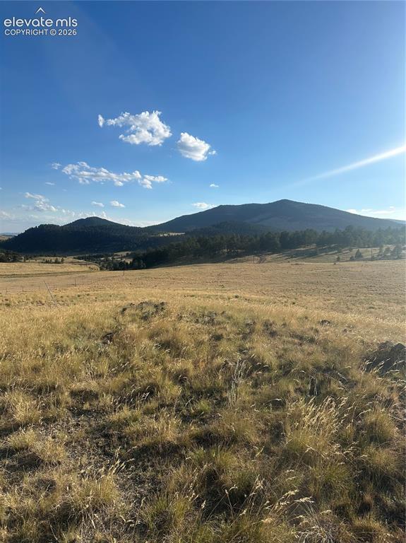 Image 5 of 22: View