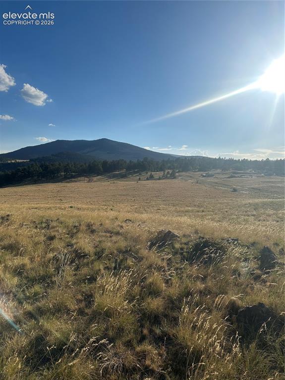 Image 6 of 22: View