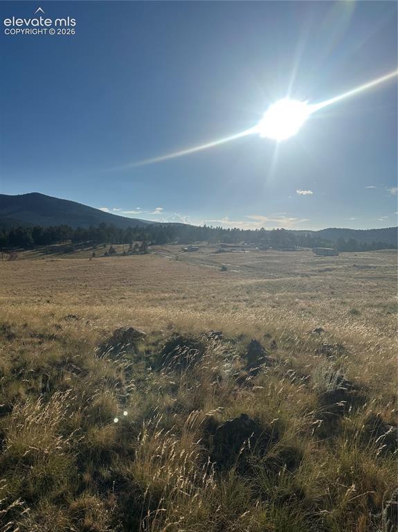 Image 7 of 22: View