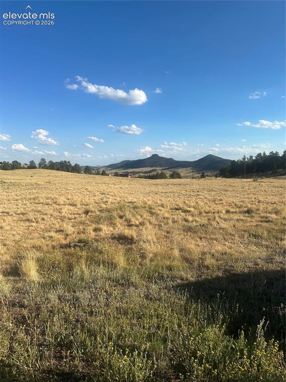 Image 9 of 22: View