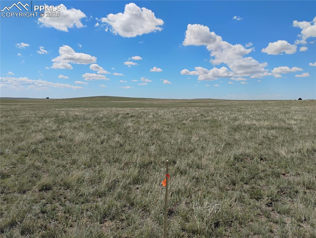 Image 10 of 10: Other