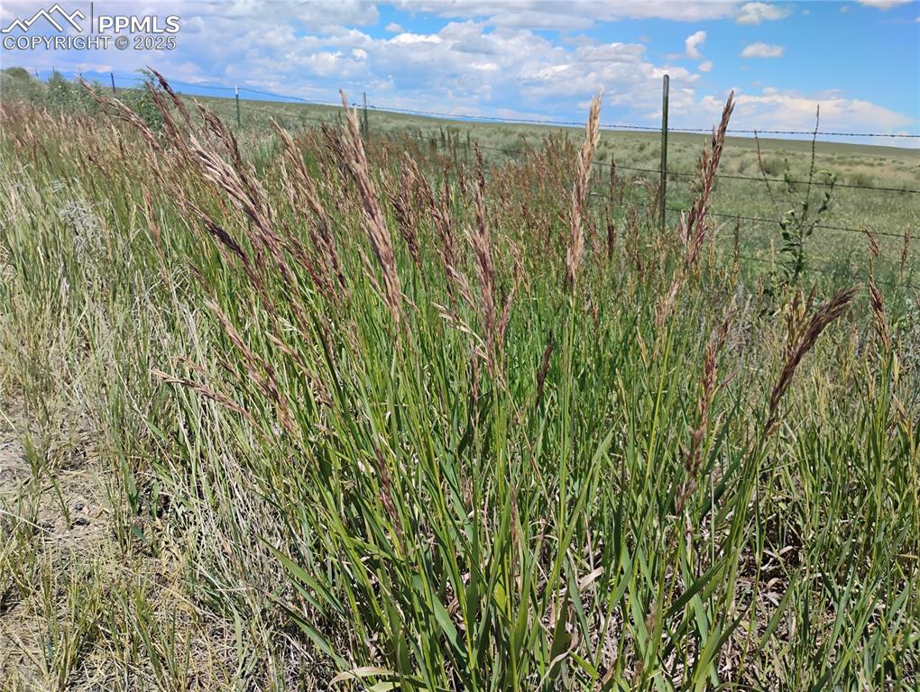 Image 2 of 10: Other