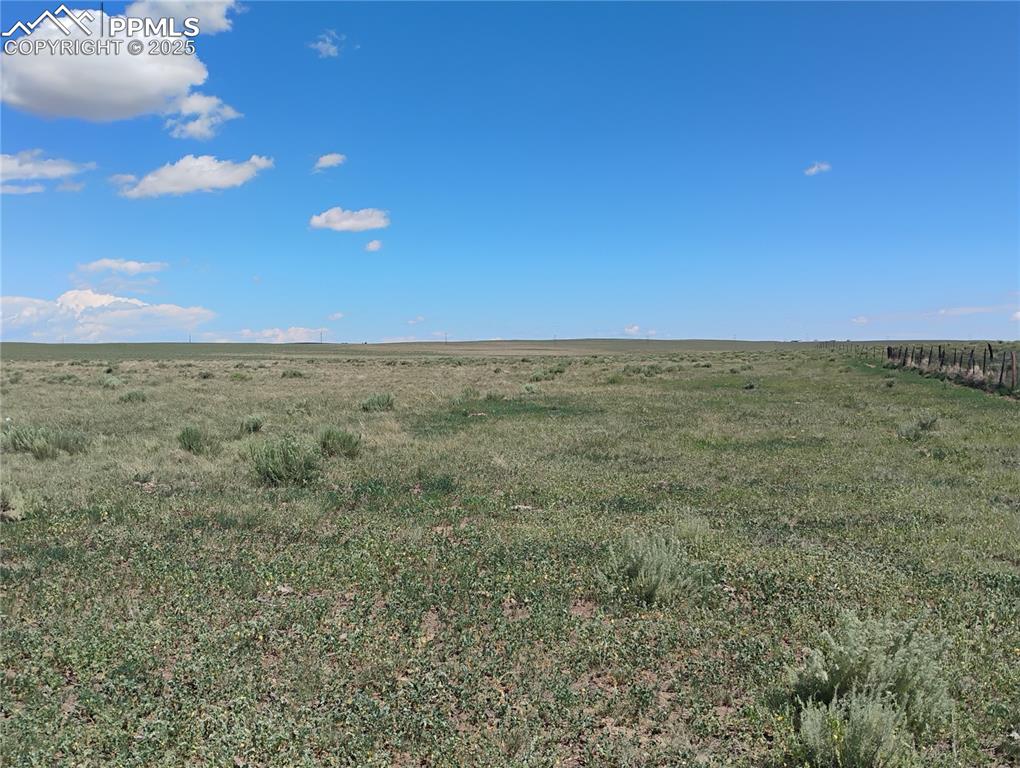 Image 6 of 10: Other