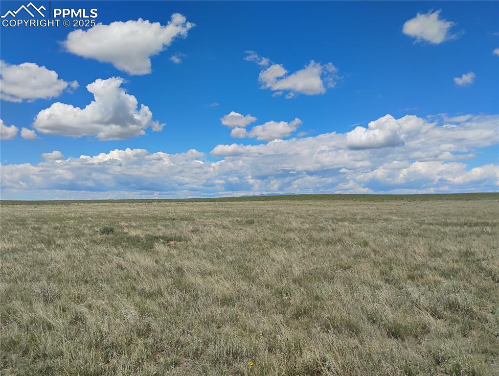 Image 9 of 10: Other