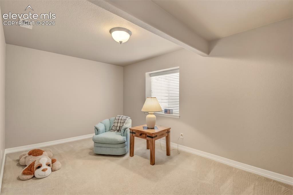 Image 27 of 35: One of 2 basement bedrooms