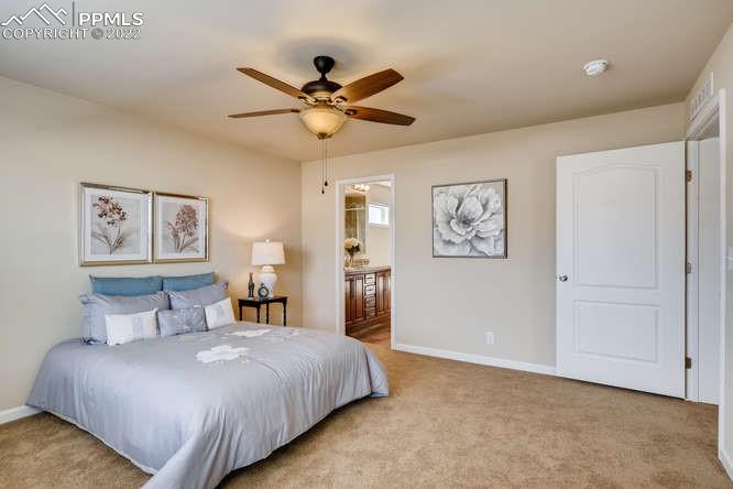 Listing 5990072, Image 14 of 21