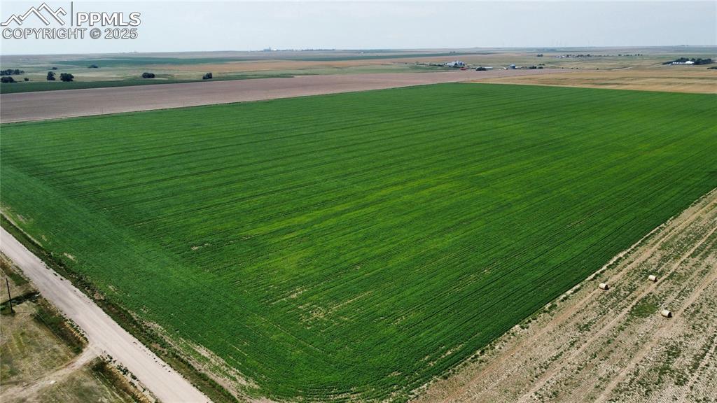 Caption: Aerial View