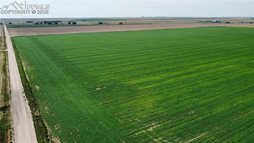 Image 13 of 20: Aerial View