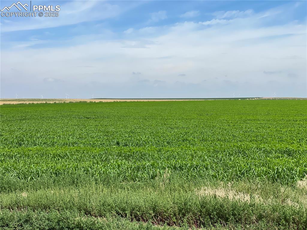 Image 20 of 20: Other