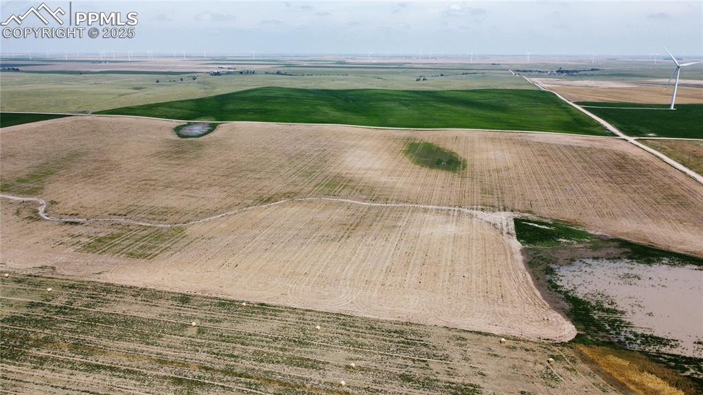 Image 7 of 20: Aerial View