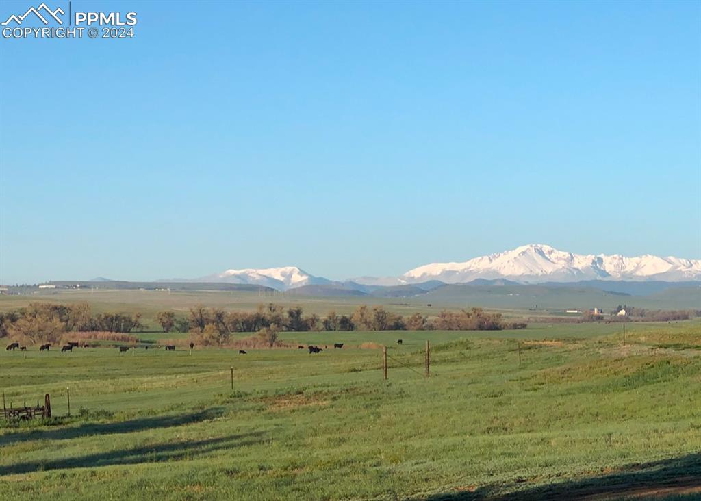 Image 13 of 50: Gorgeous Back Drop!