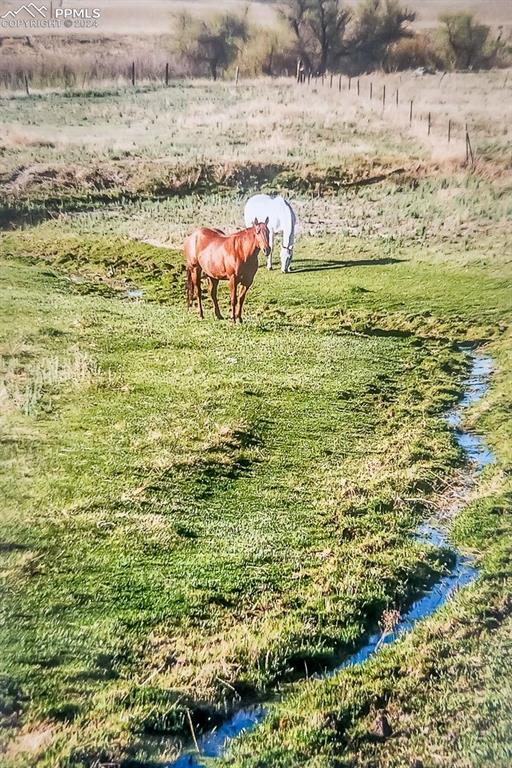 Image 15 of 50: Antelope Creek Runs through the property!
