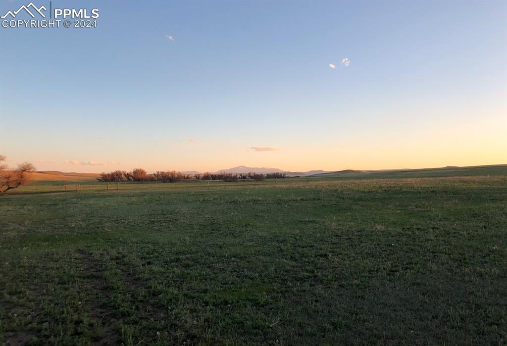 Image 39 of 50: Open Pastures!