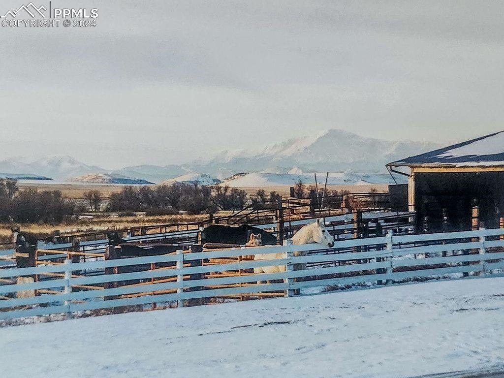 Image 41 of 50: Paddocks with shelter