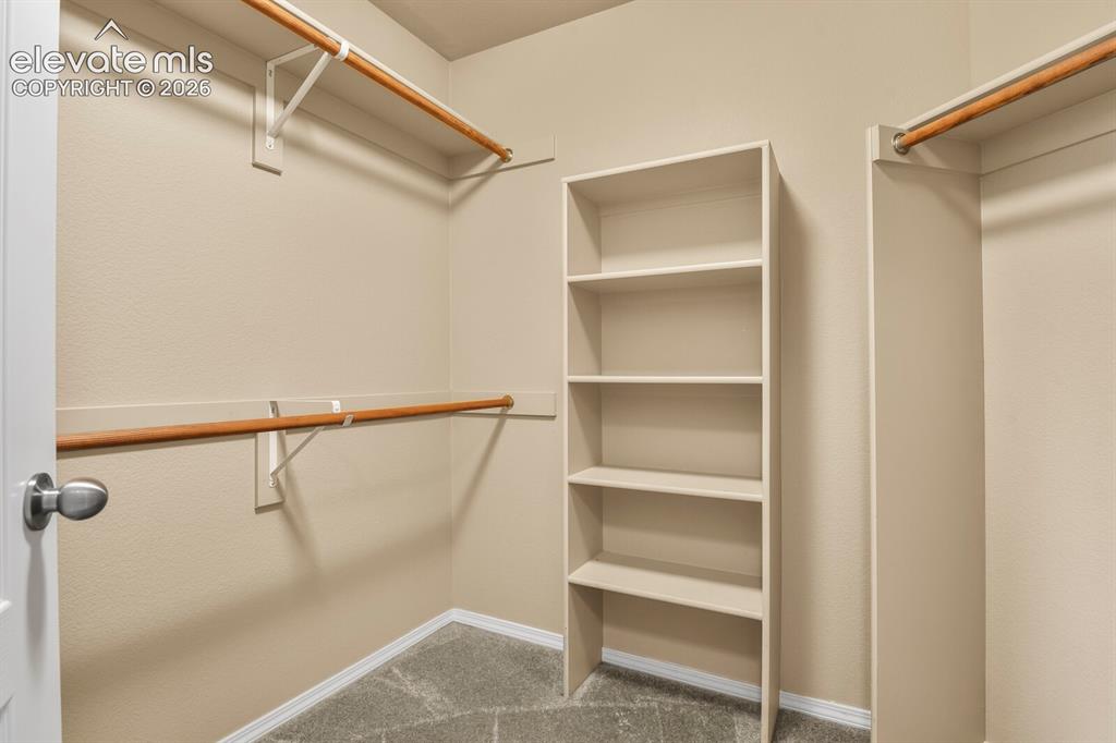 Image 34 of 50: Walk-in closet featuring built-in shelving, dual hanging rods, and carpet f