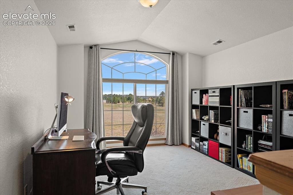Image 28 of 47: Arched window with gridded panes, light gray wall-to-wall carpeting, and br