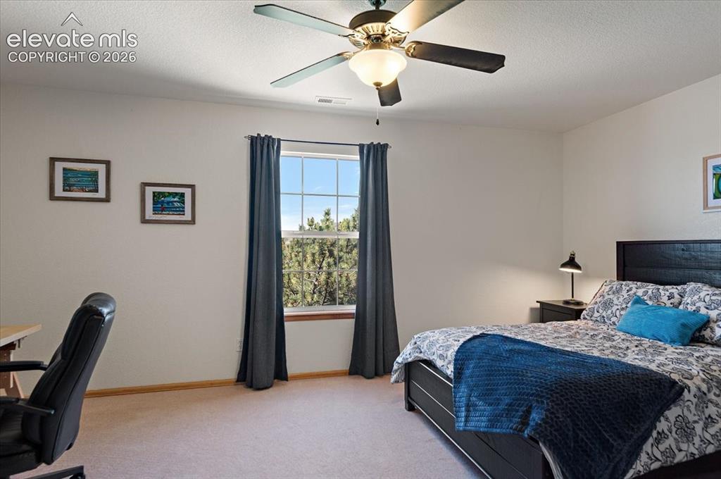 Image 30 of 47: Bright room featuring a window with natural light, a ceiling fan with light